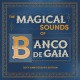 The Magical Sounds of Banco de Gaia